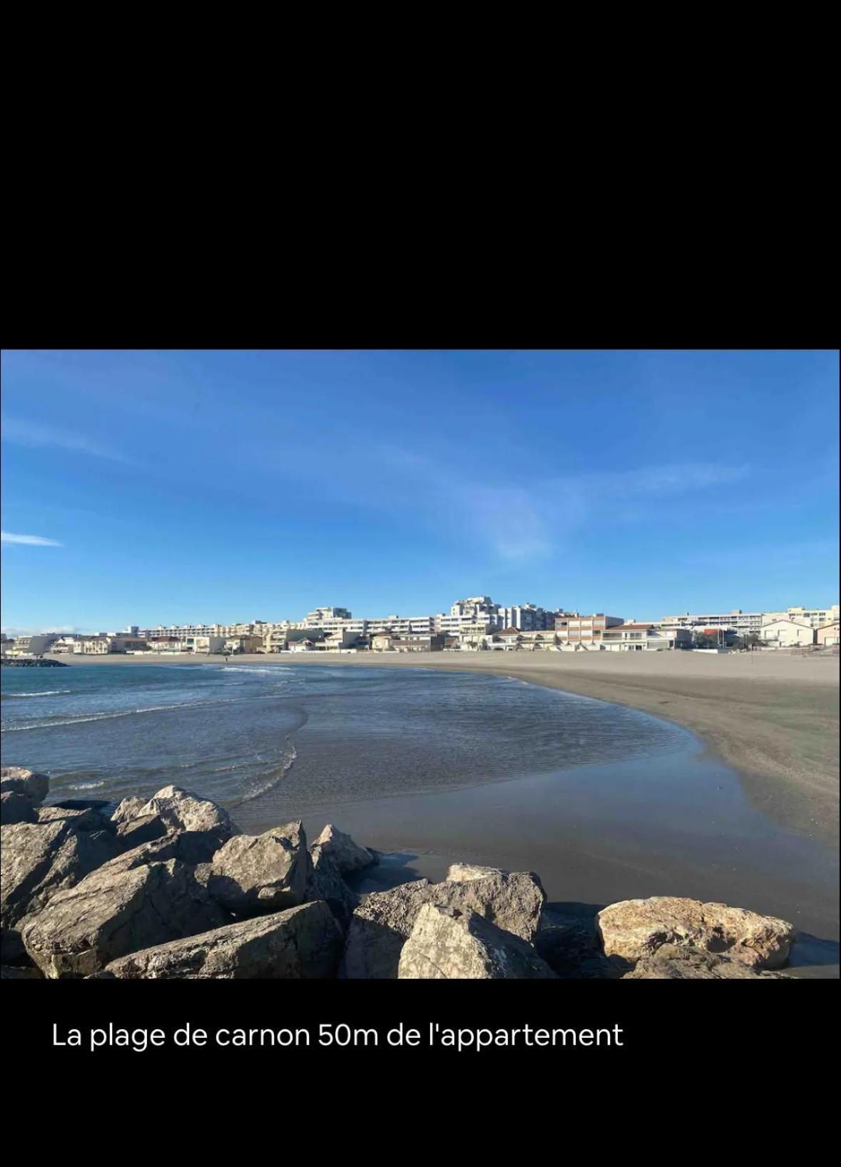 Studio Vue Sur Le Port Mauguio Dış mekan fotoğraf